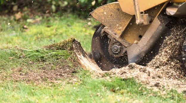 Stump Grinding in Gold Coast: Reclaim Your Garden Space and Prevent Future Tree Growth Issues