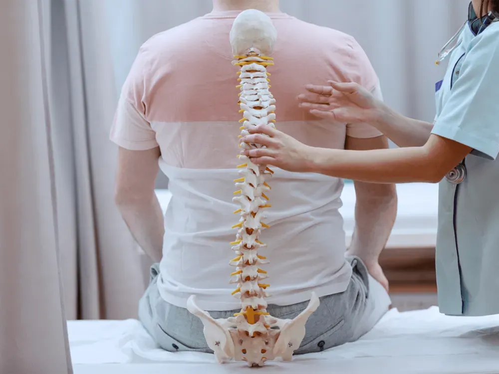 best spine surgeon in tampa - Highly Skilled Spine Specialist for Optimal Results