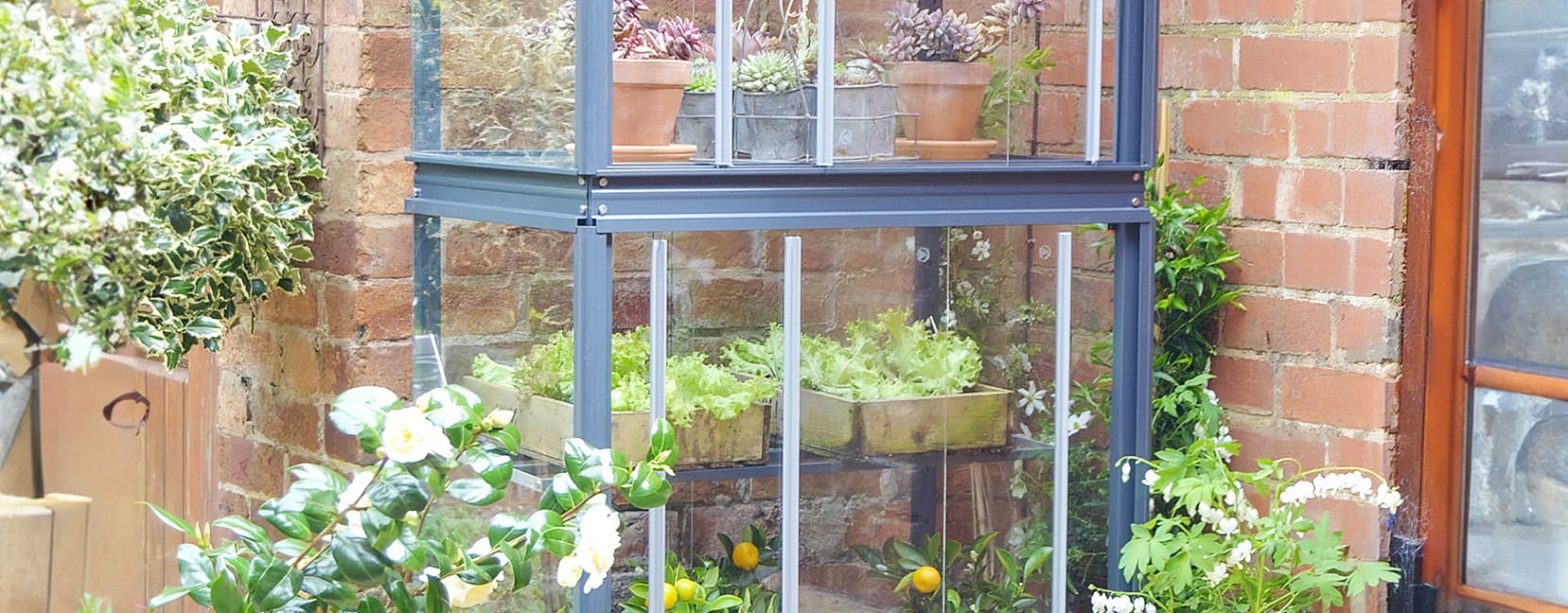 Greenhouses for Sale With Flexible Styles and Sizes