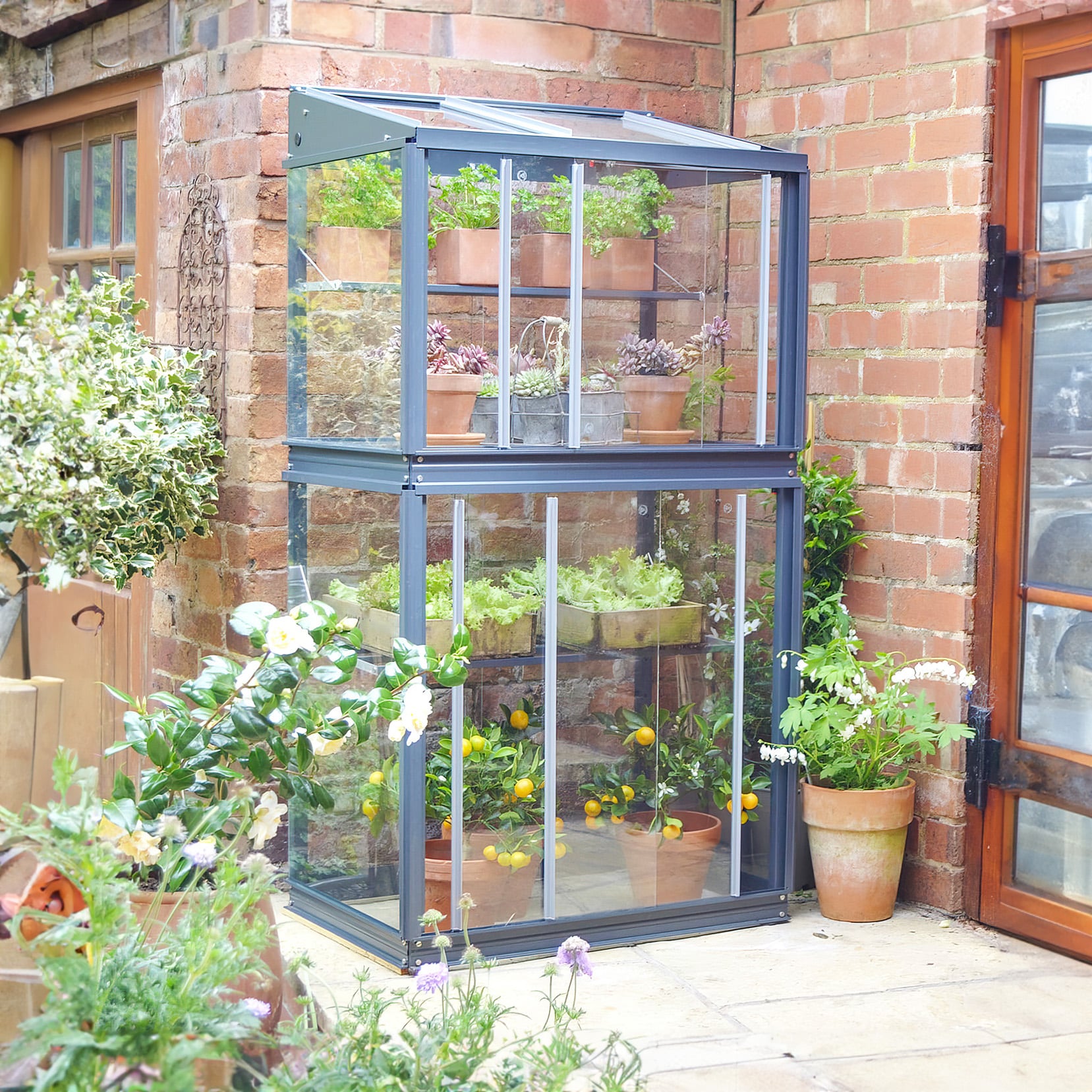 Greenhouses for Sale With Flexible Styles and Sizes